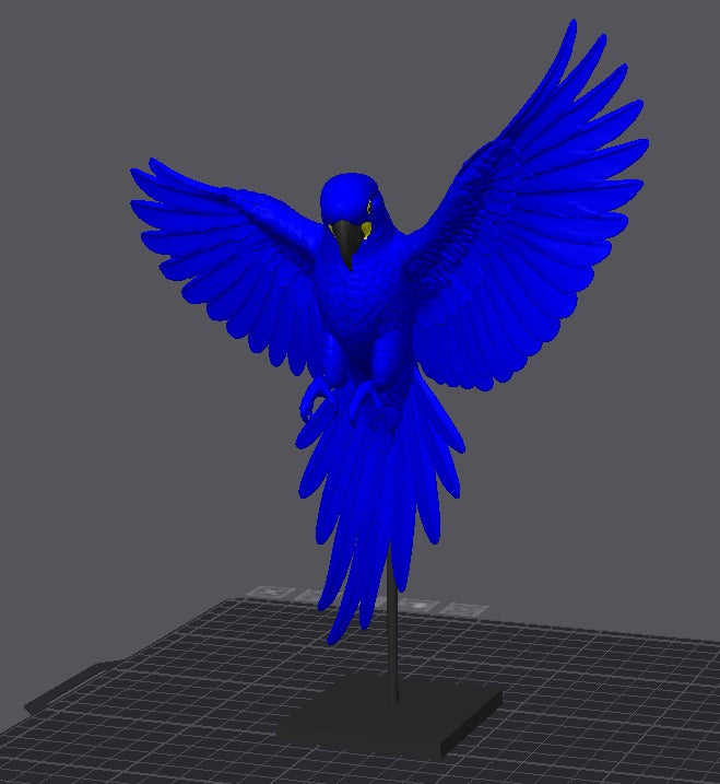 Arara azul em uma base asas abertas