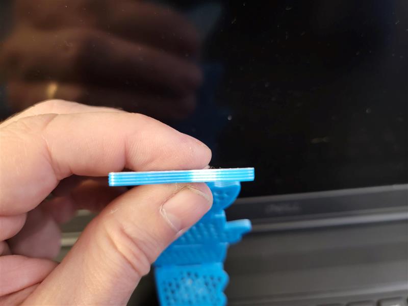 Flexi Fish - Infill Swatch