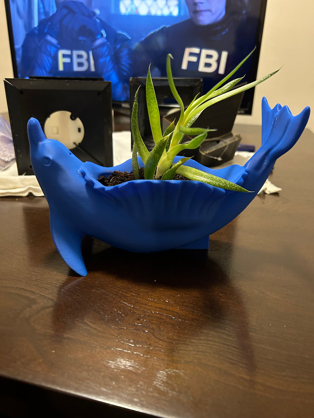 Dolphin planter
