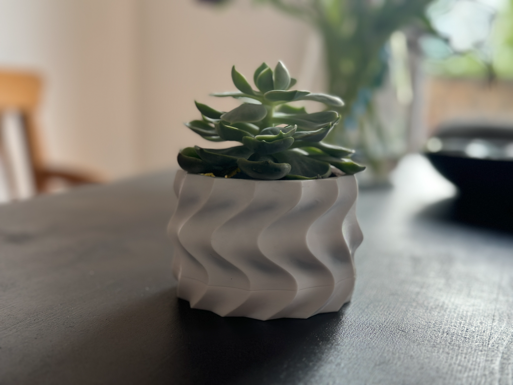 Twisted planter with removable bottom