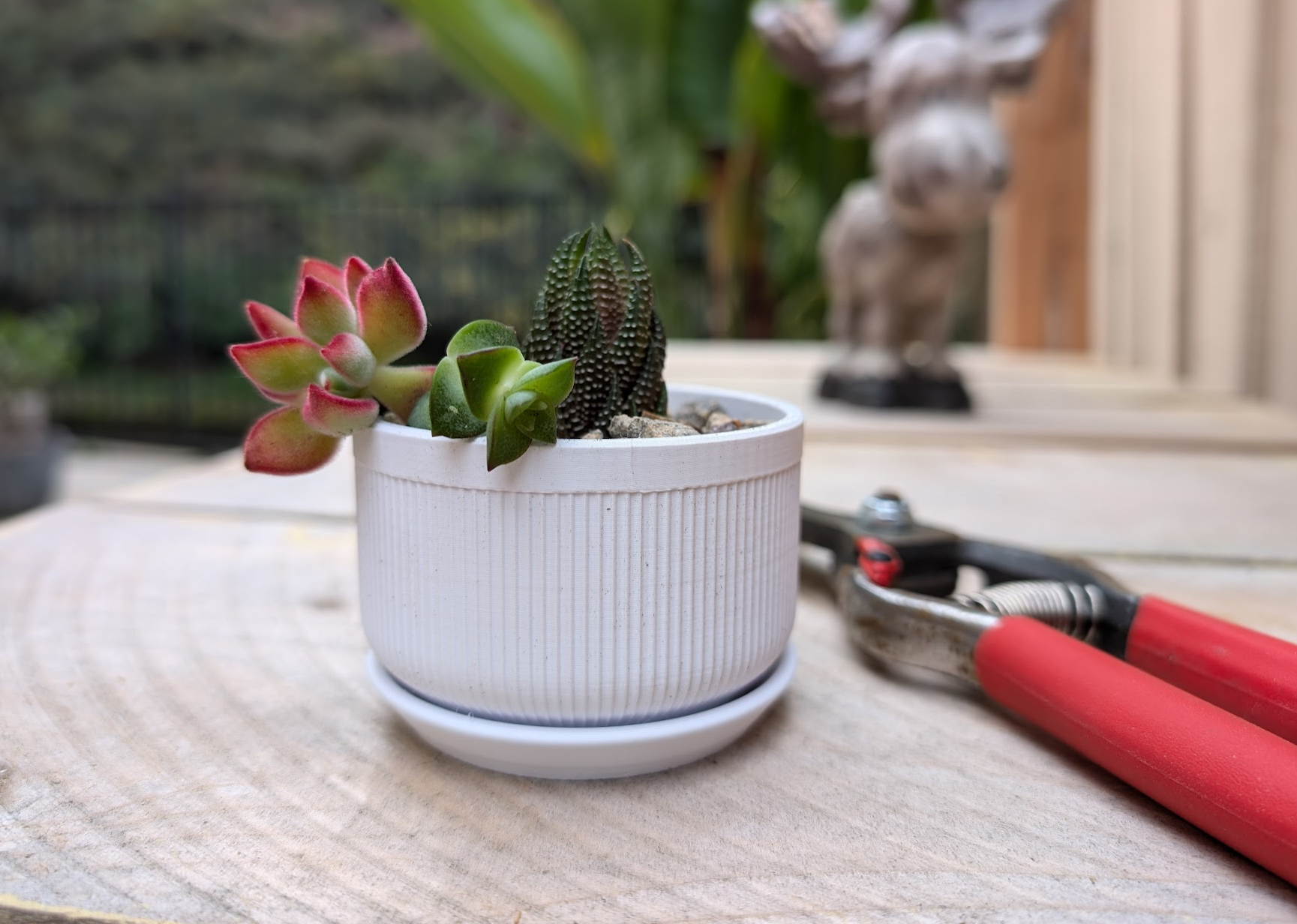Mini Succulent Planter & Watering Can