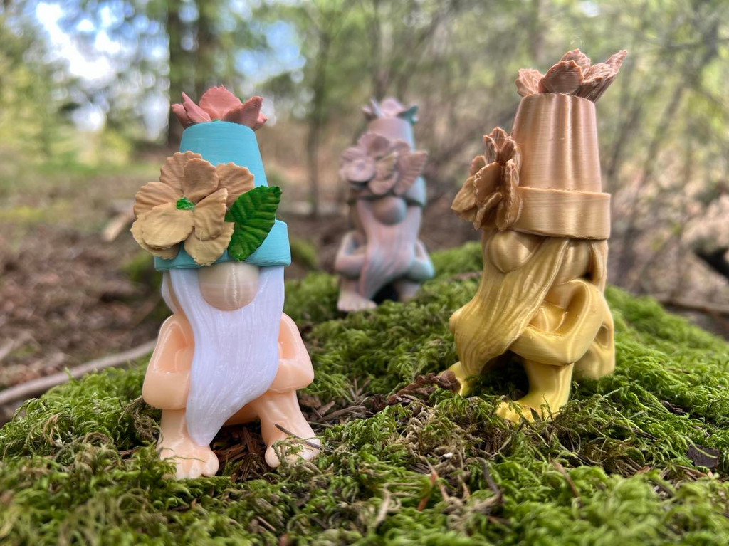 Sneaky Garden Gnome