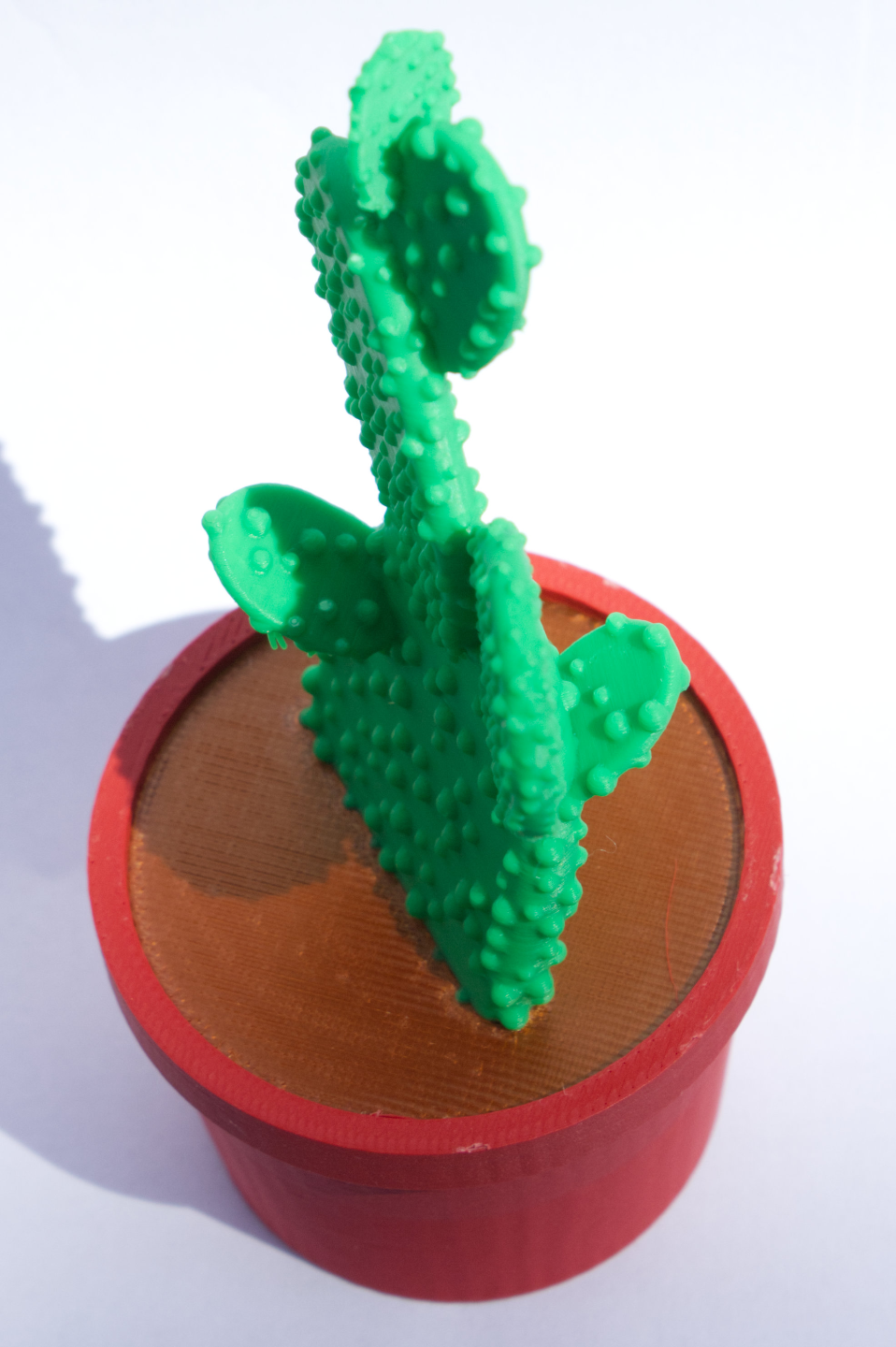 Desktop Cactus Plant, 3-Color print, House Decor