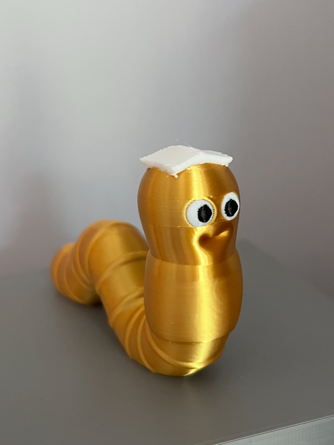 Bookworm - Worm with book on it's head