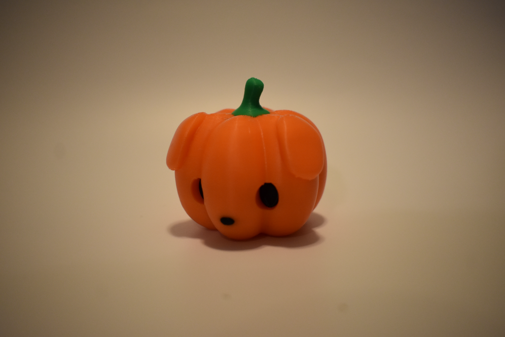 Pumpkitty and Pumpkin Pup! (Cute Pumpkin Cat & Dog)