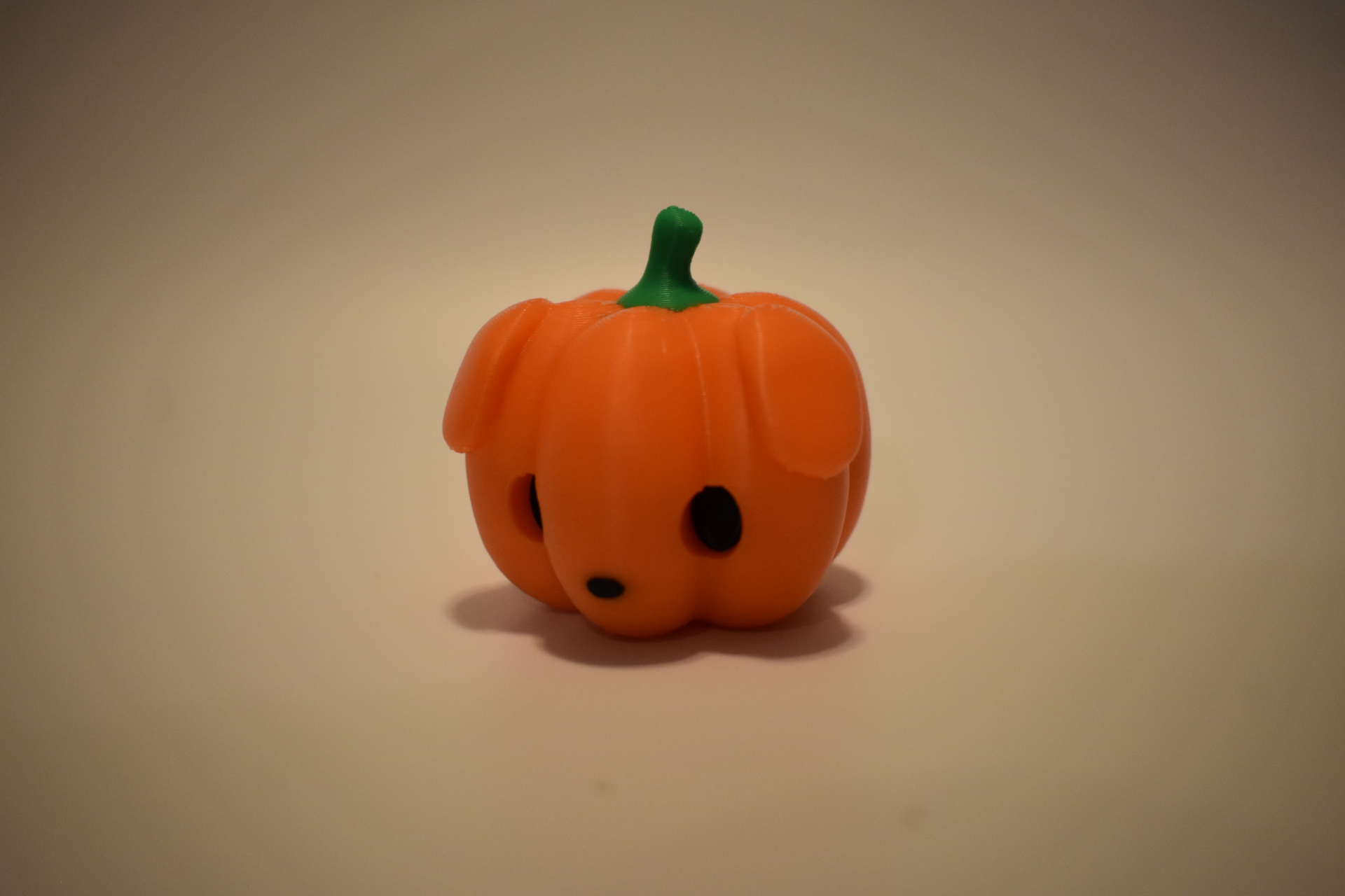 Pumpkitty and Pumpkin Pup! (Cute Pumpkin Cat & Dog)
