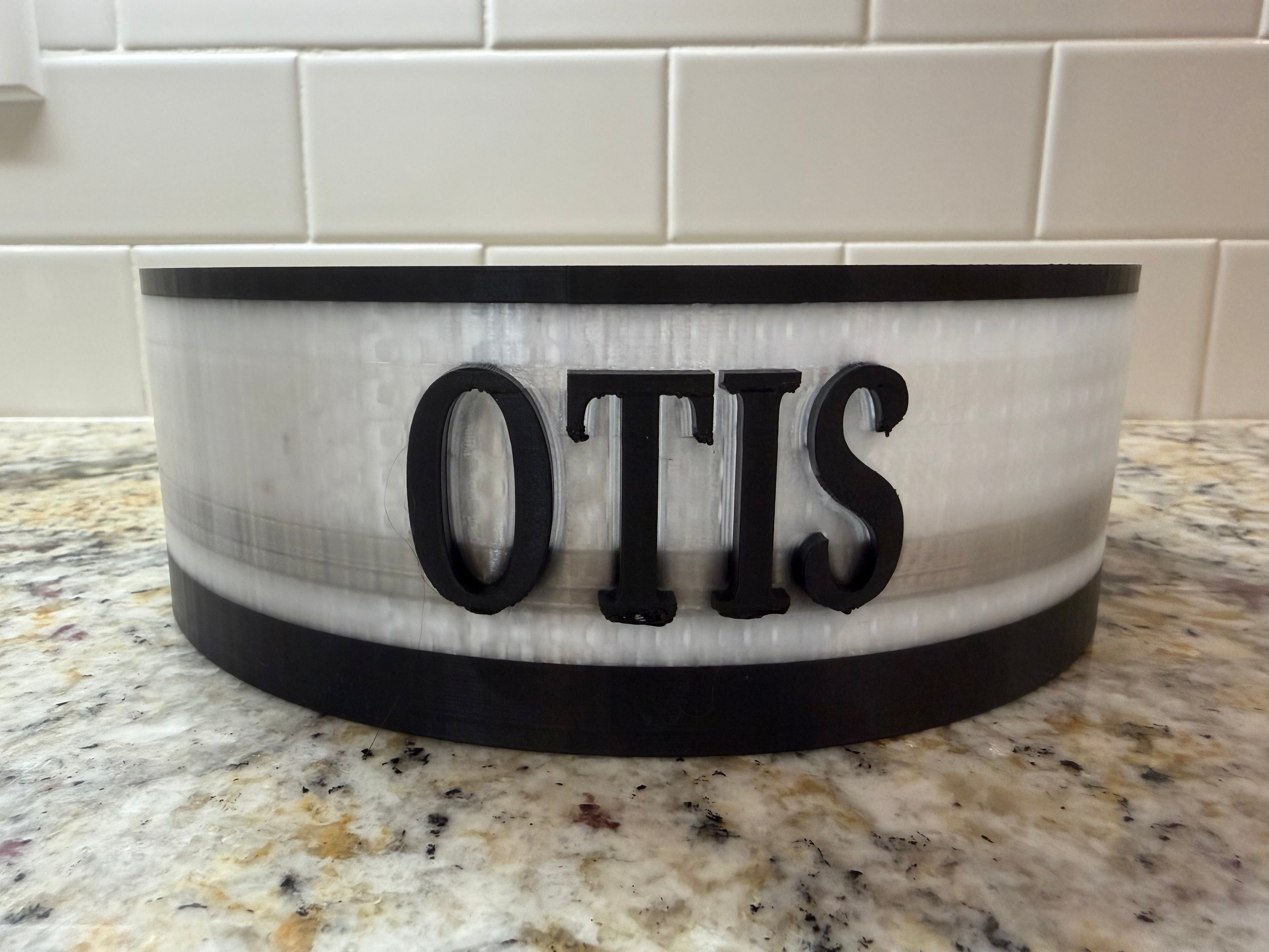 Customizable Translucent PETG Dog Bowl AMS Ready