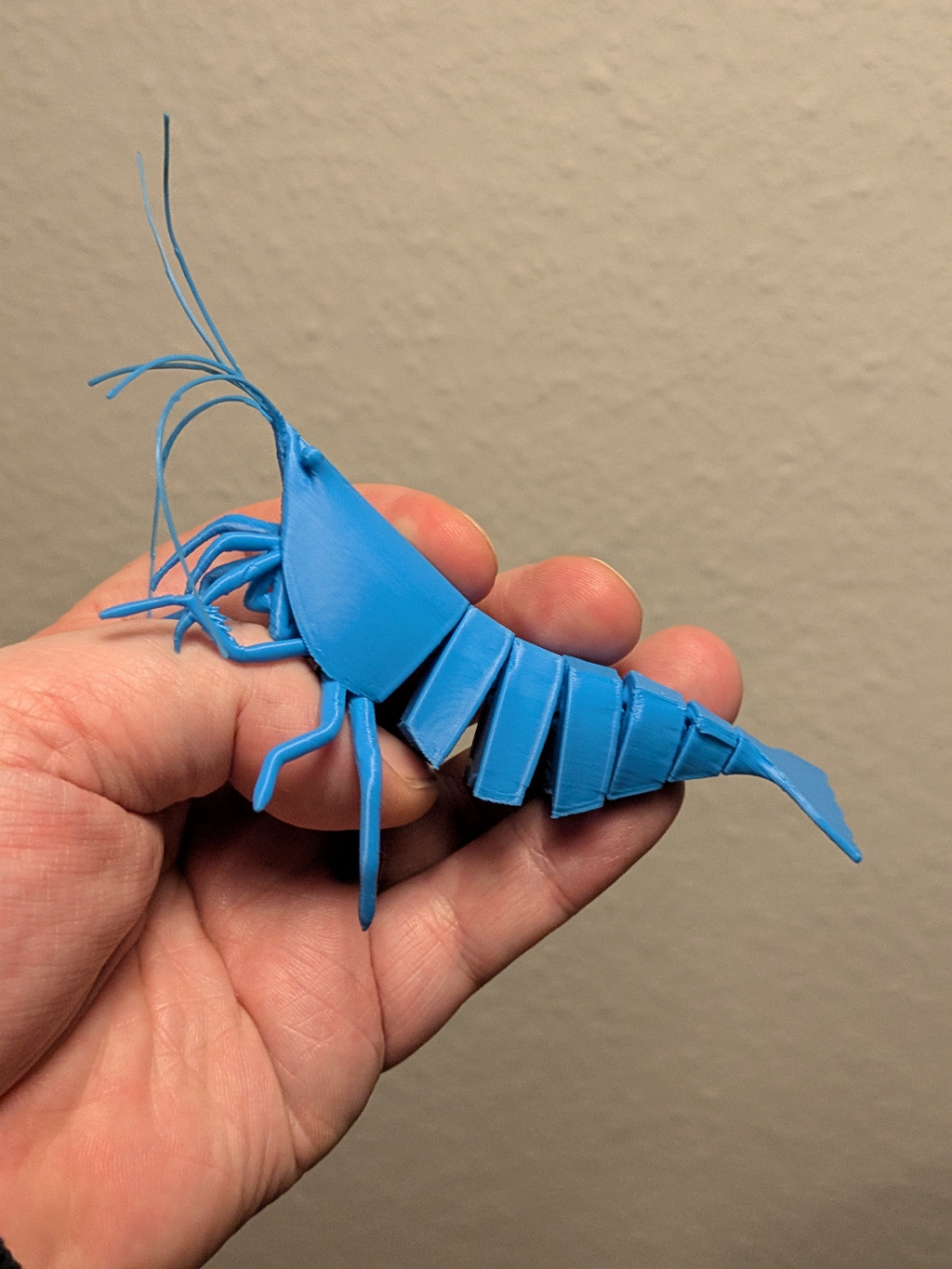 Articulated Shrimp