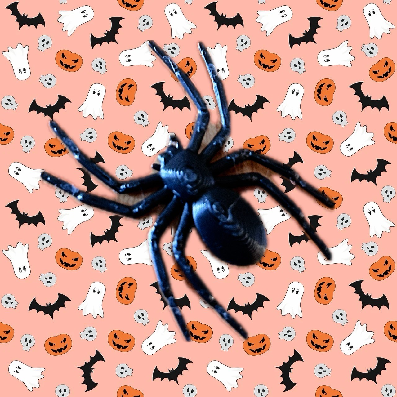 spider halloween