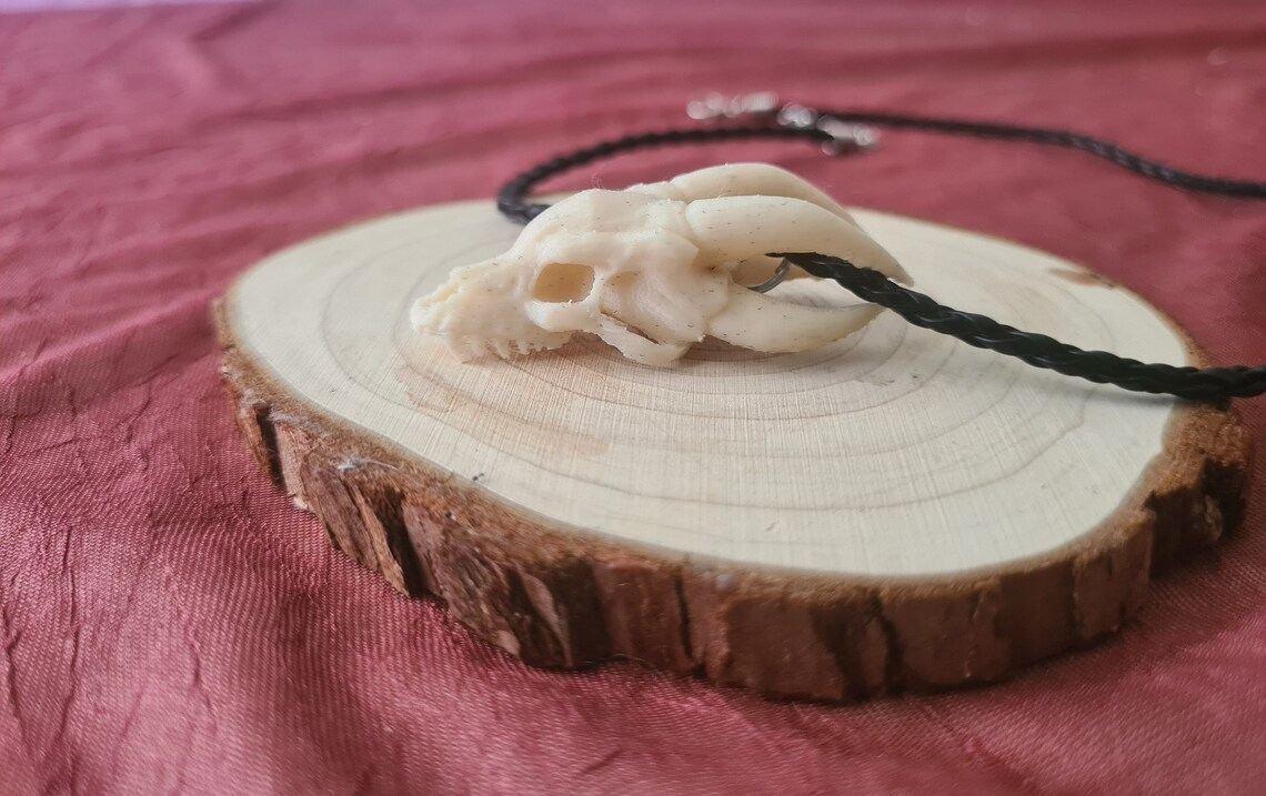 Dragon skull necklace keychain earring