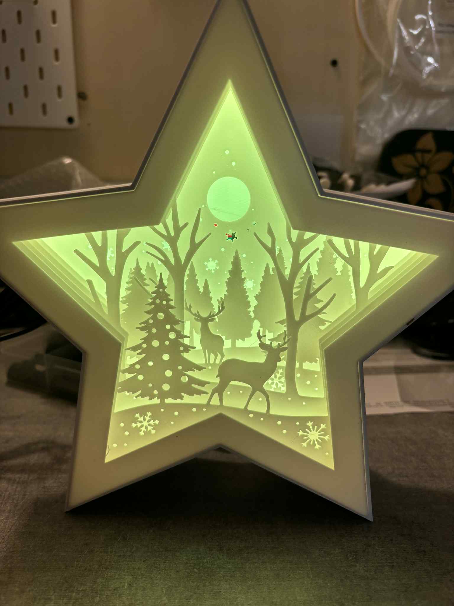 Etoile noël
