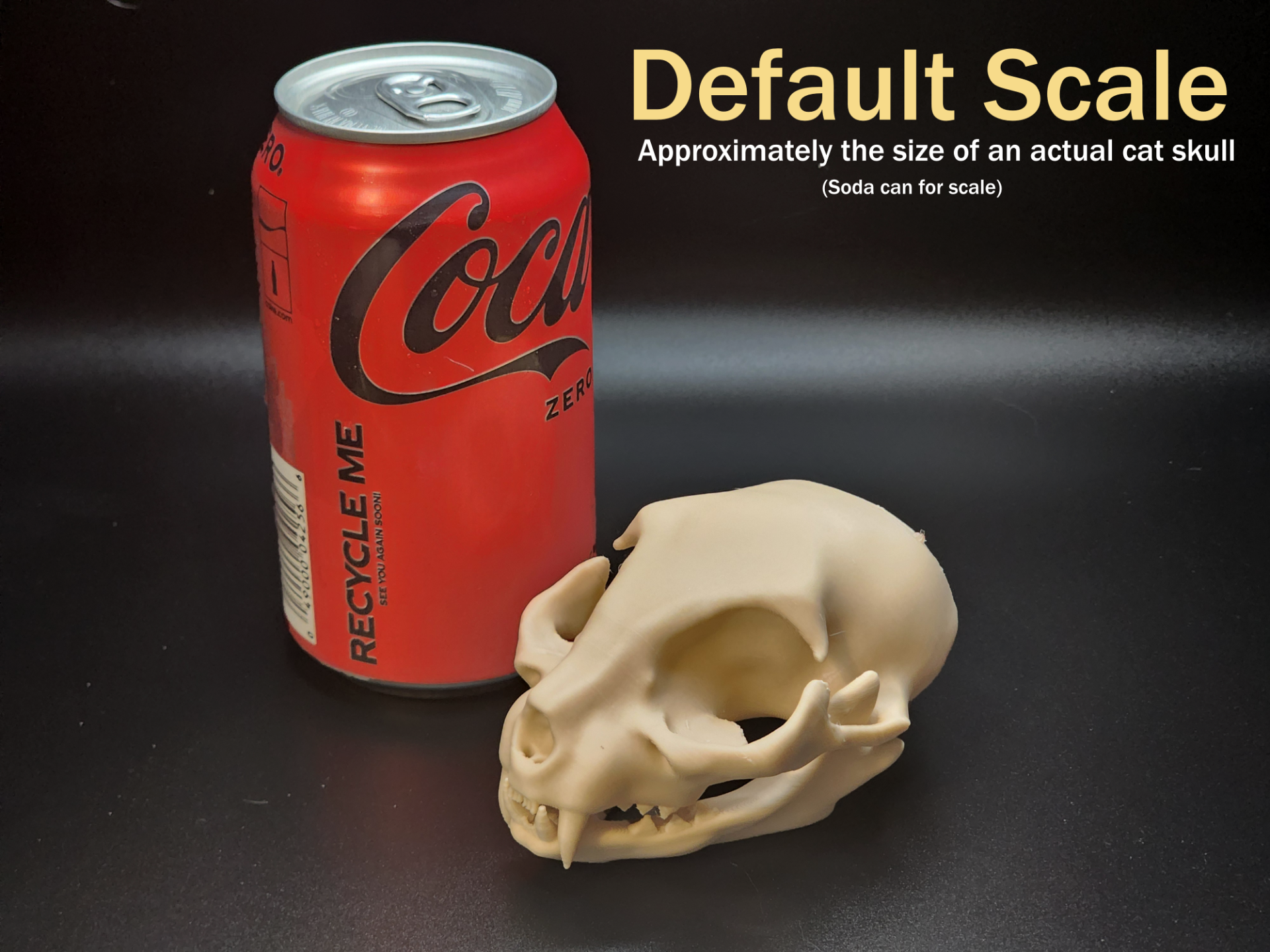 Cat Skull - Easy(ish) Print