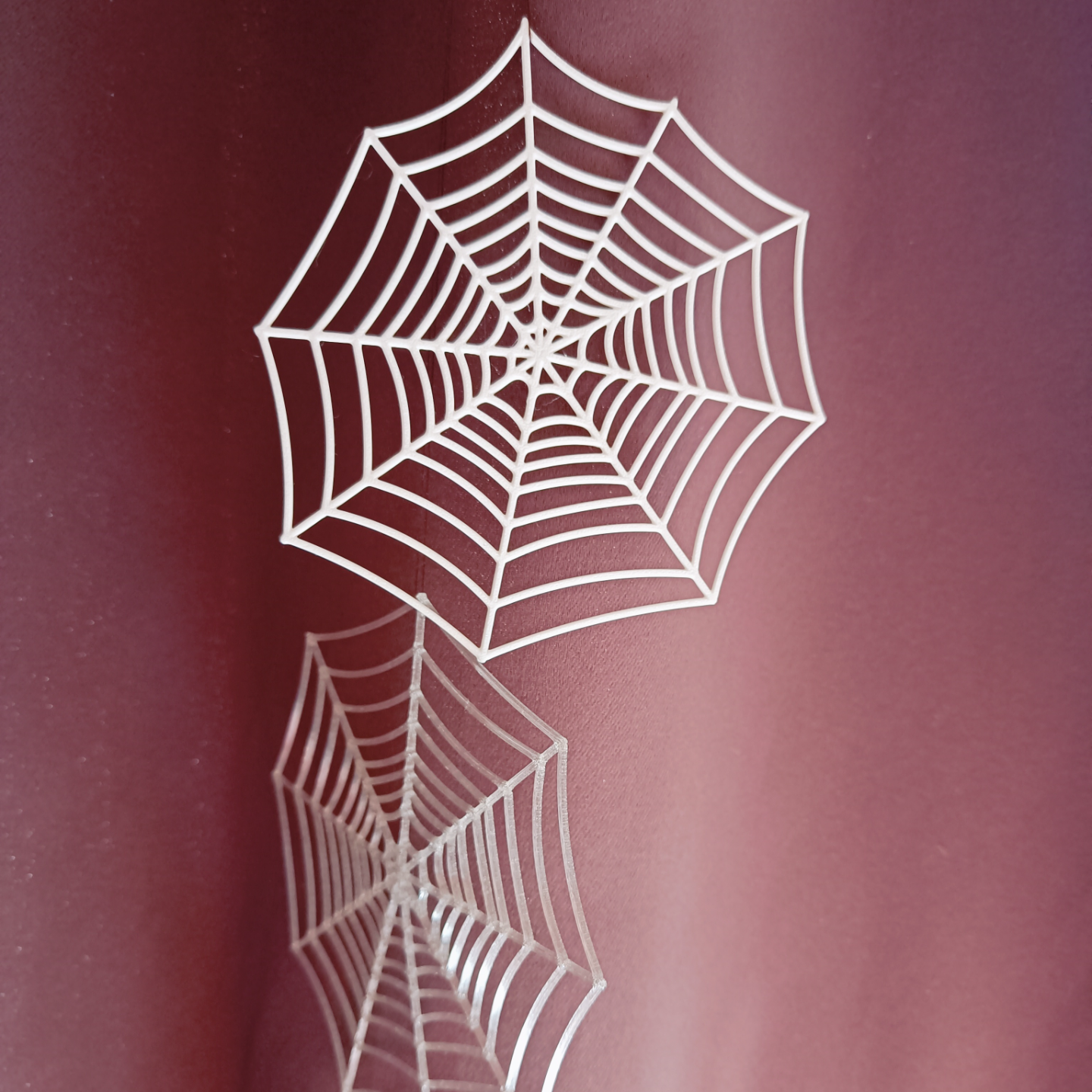 Halloween spider Web