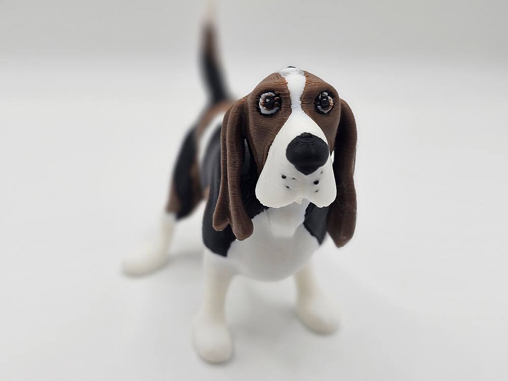 Cute Hound Dog