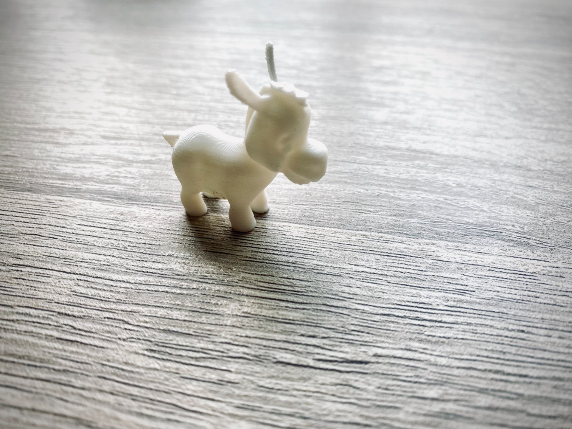 Little Donkey