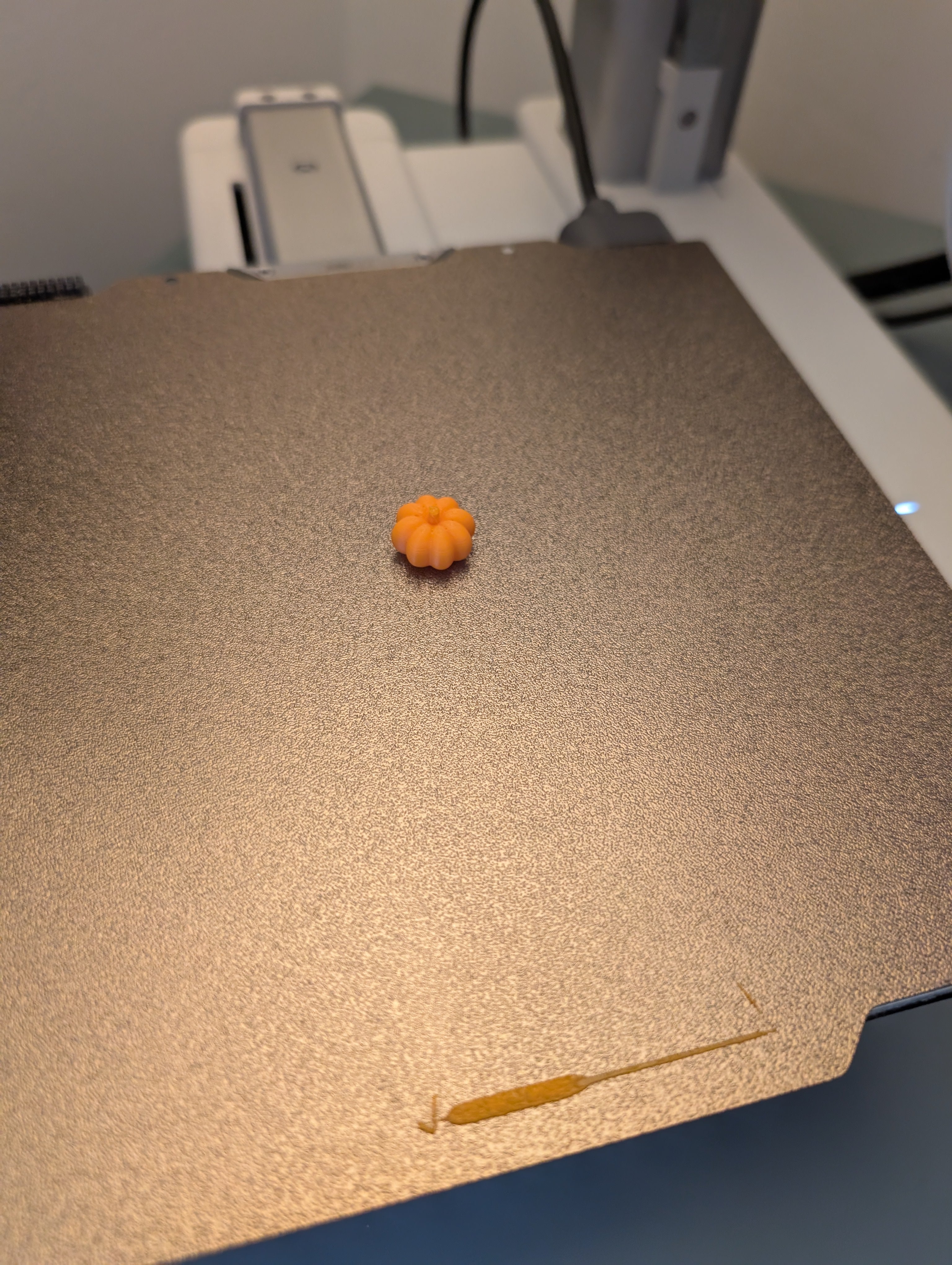 Cute Mini Pumpkin