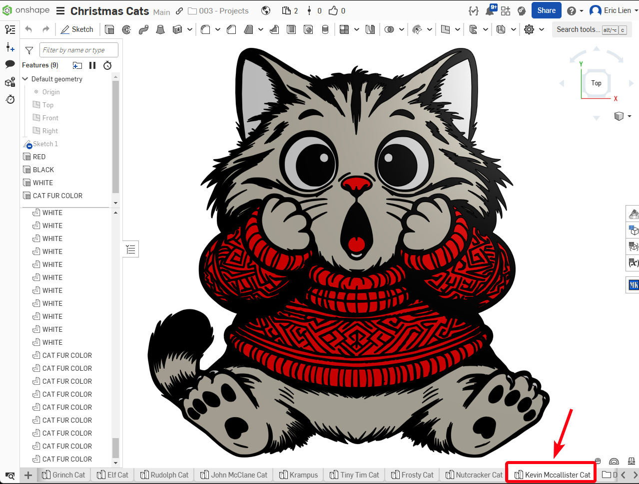 Kevin McCallister (Home Alone) Cat