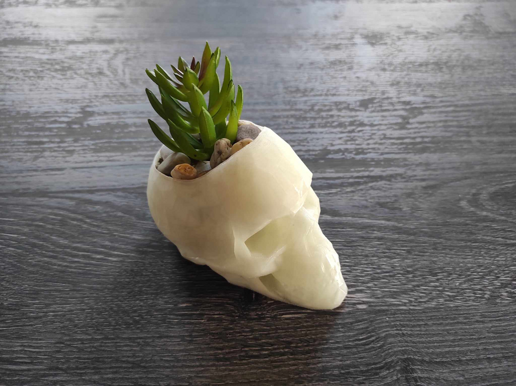Low Poly Skull Planter