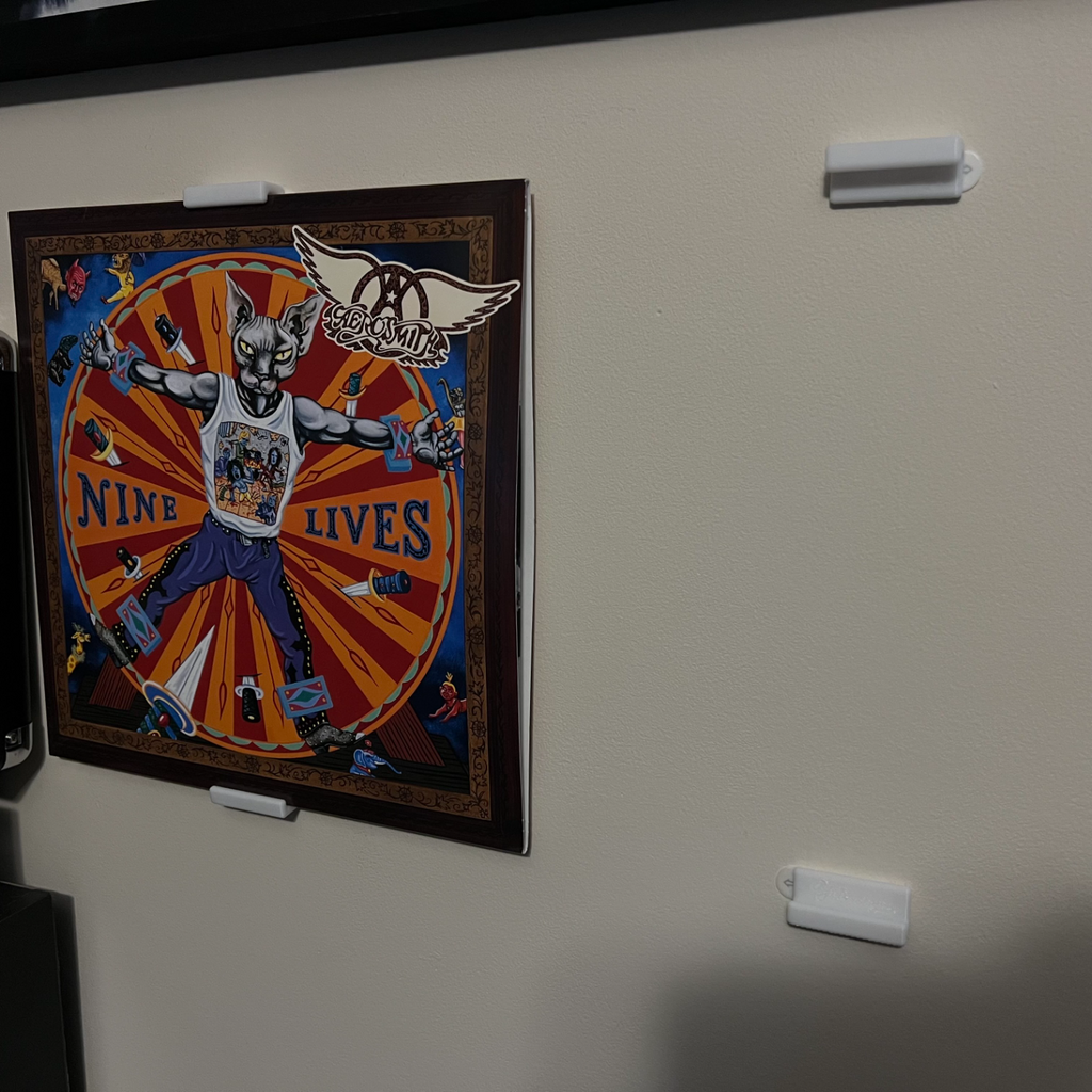 Vinyl Record Wall Display