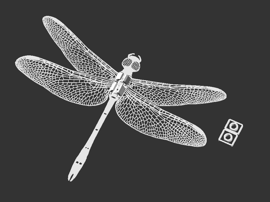 Dragonfly