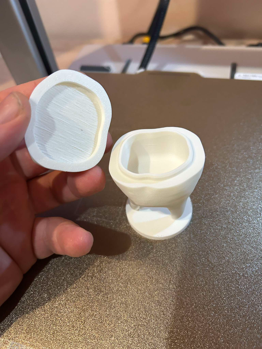 Toothbox, added supports, 0.2mm heigh