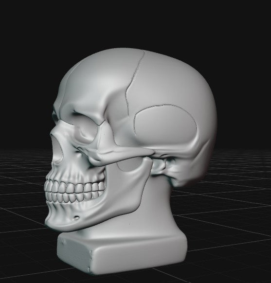 skull bust