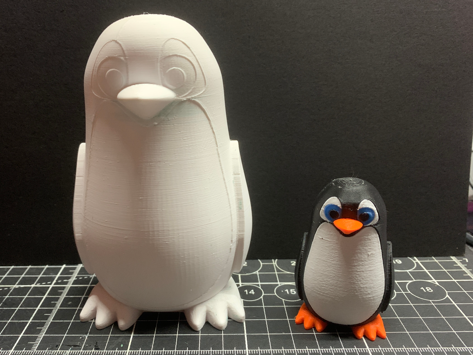 Cute Little Penguin