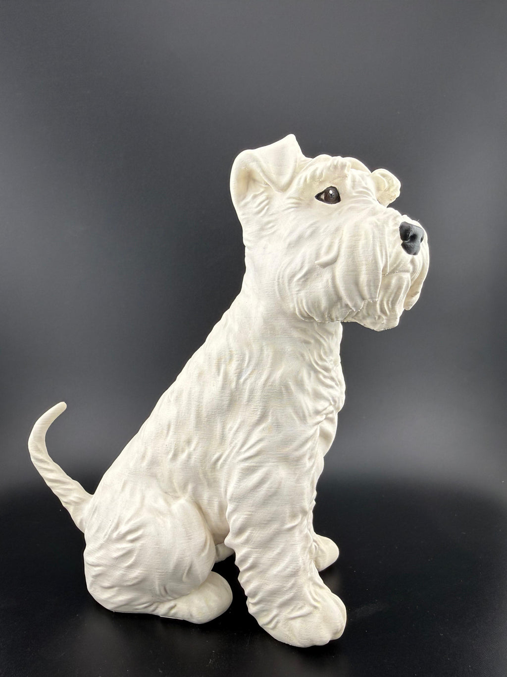 Schnauzer (mini) 12cm