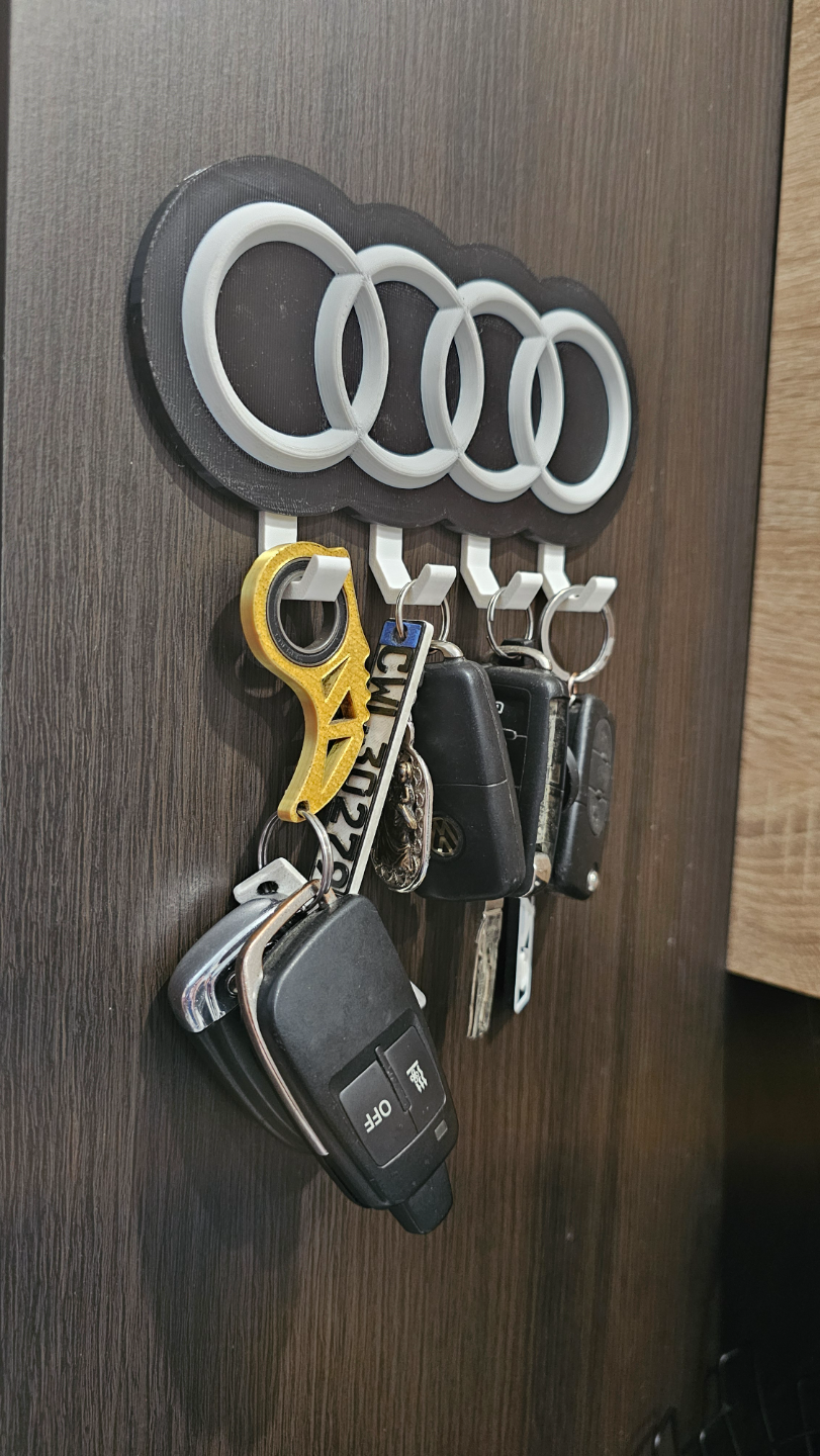 Audi key holder no ams