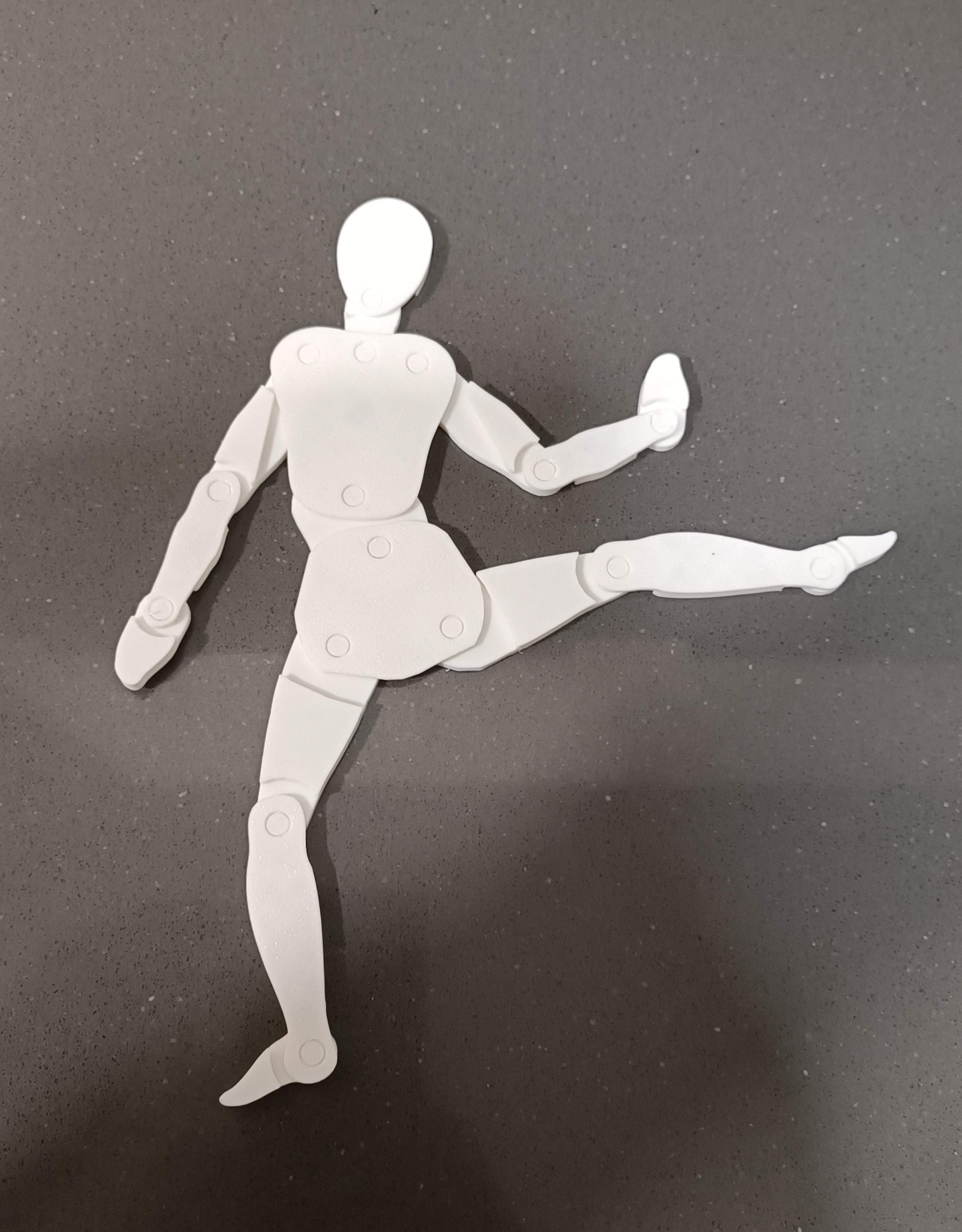 Maniquí articulado de cuerpo humano