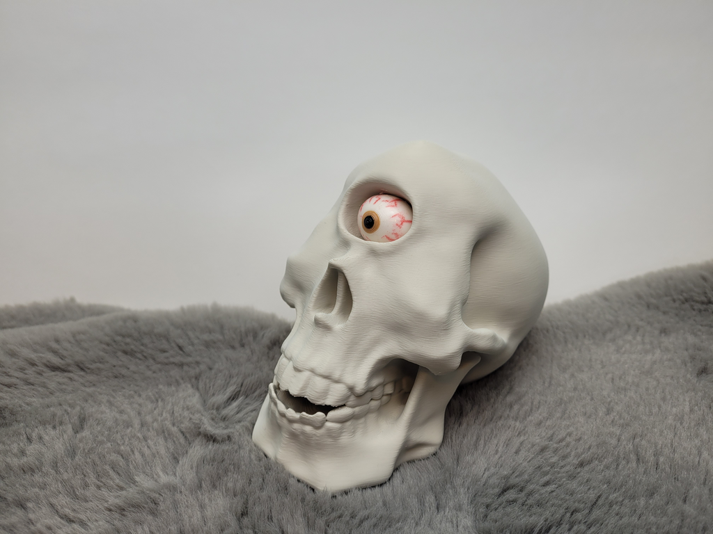 Cyclops Skull