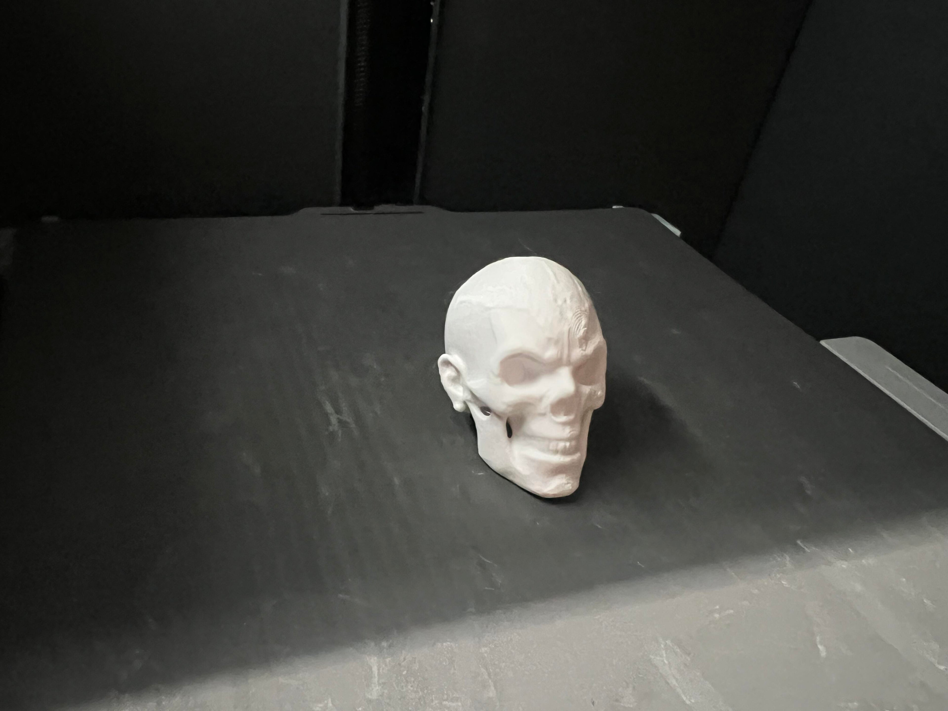 Sippin’ Skull