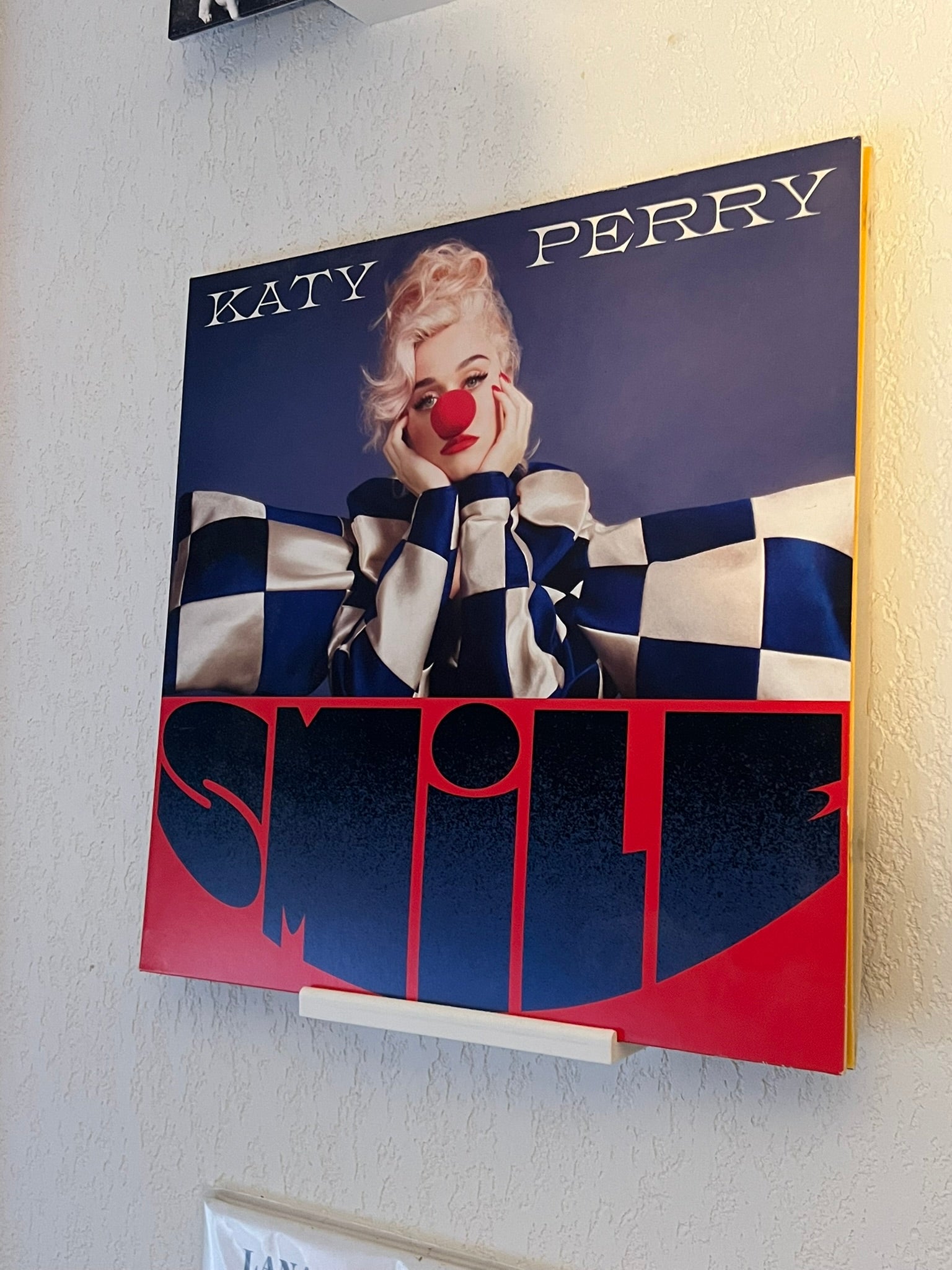Vinyl record wall mount