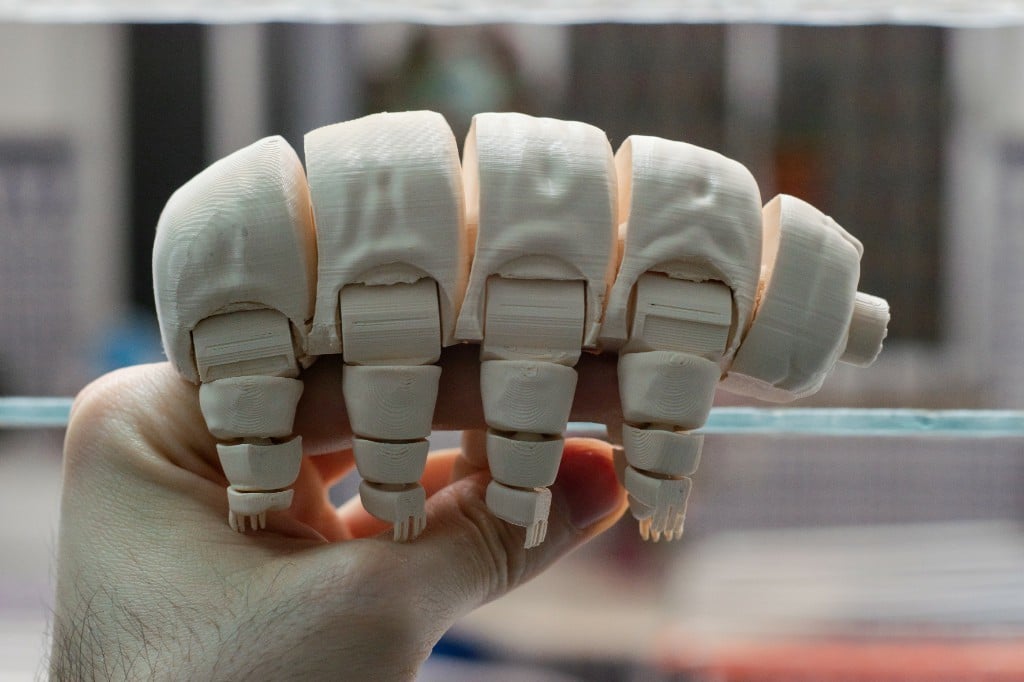 Articulated Tardigrade