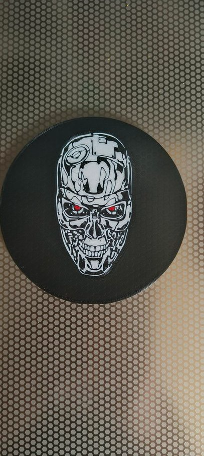 Terminator Coaster