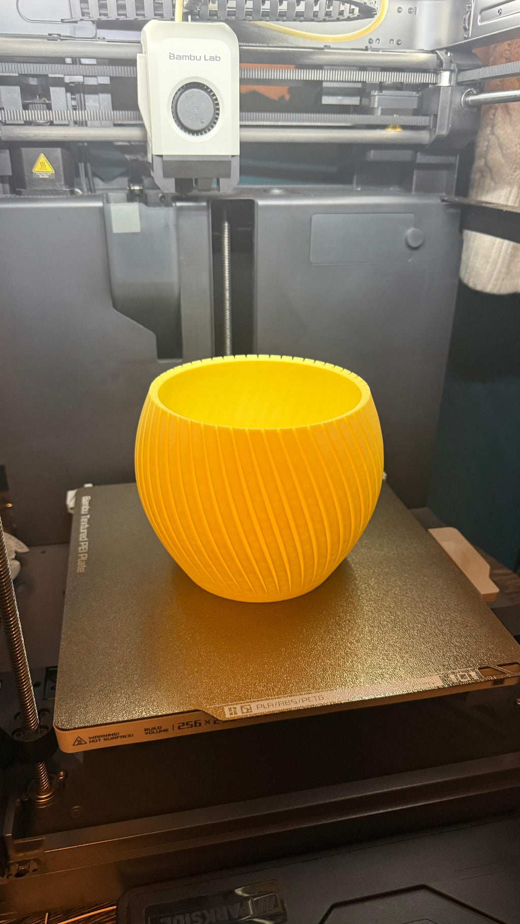 Flower - Plant Pot ( Medium Size )
