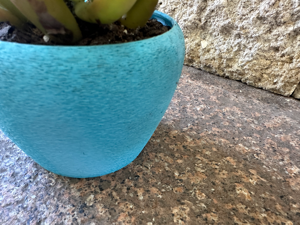 Plant pot / Succulent Container / Planter