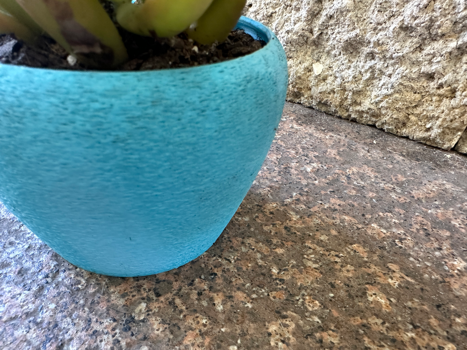 Plant pot / Succulent Container / Planter