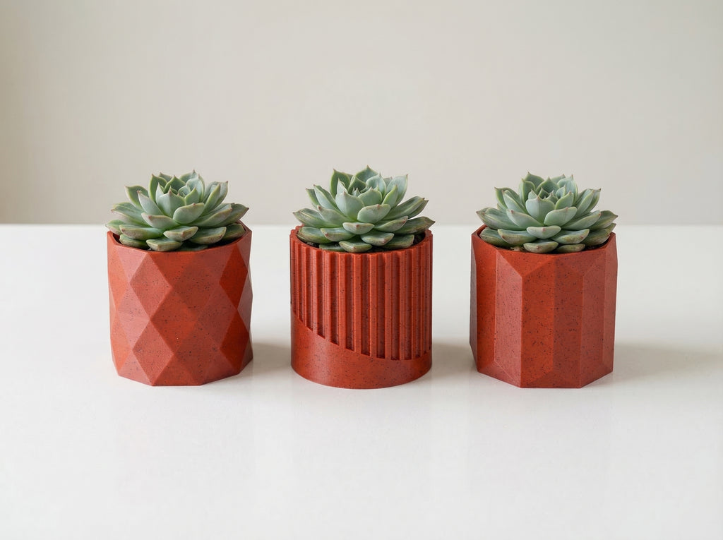 Minimalist Succulent Pot Collection - Set of 3