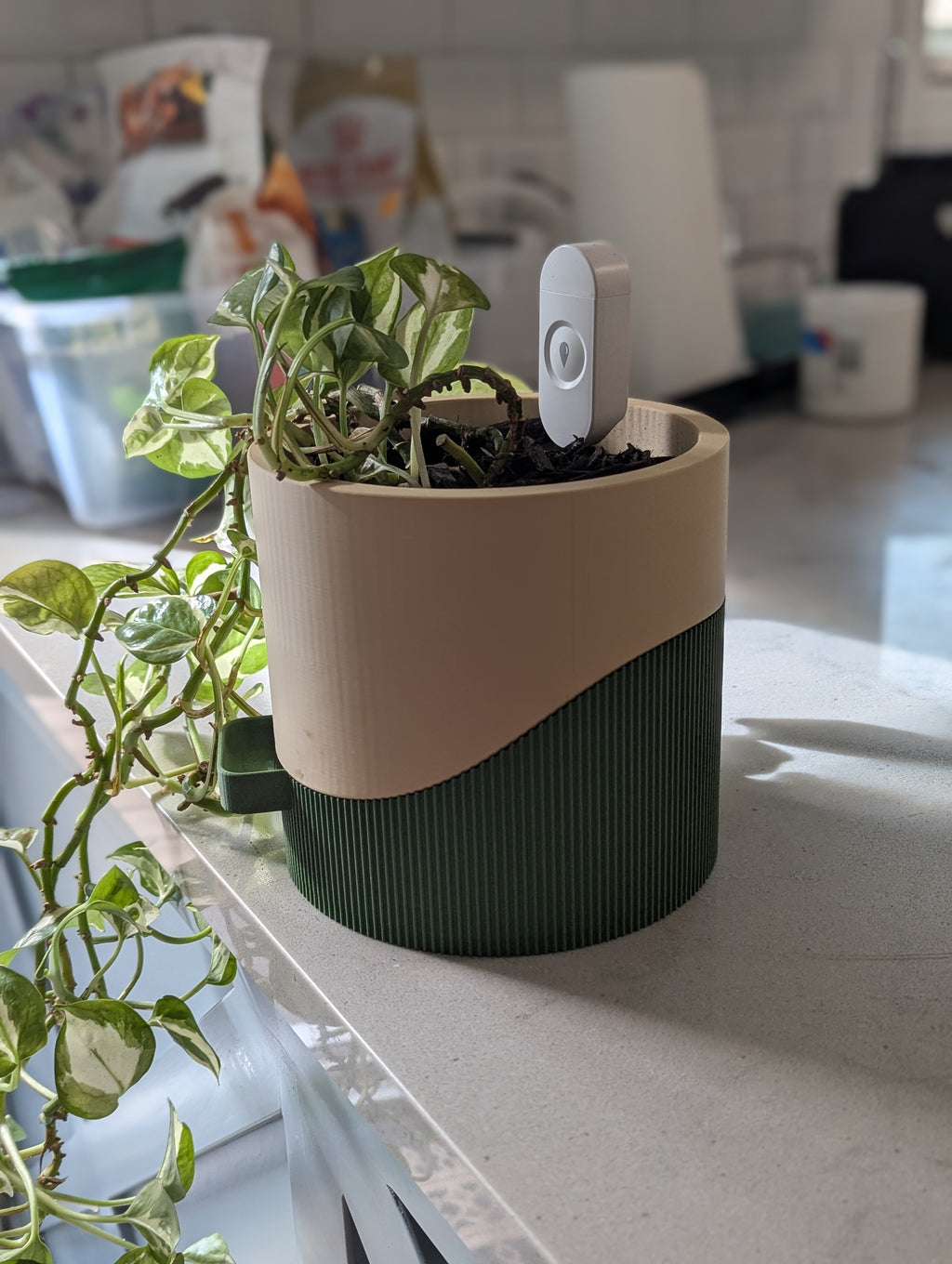 Bottom Watering Indoor Plant Pot