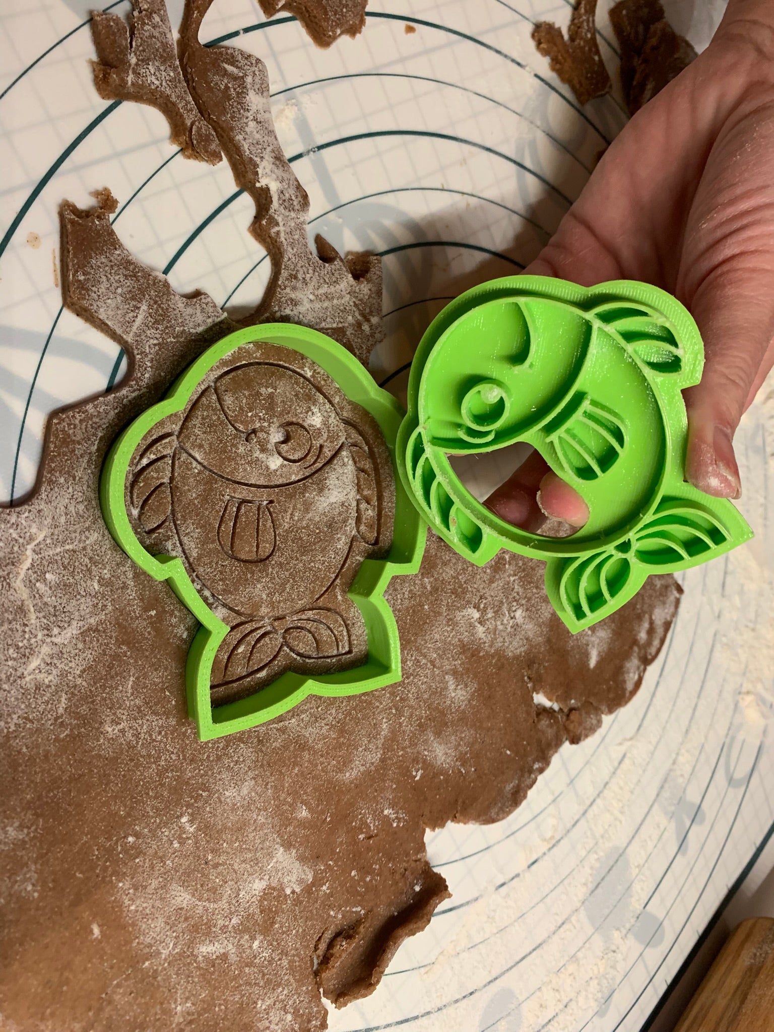 Fish Cookie cutter