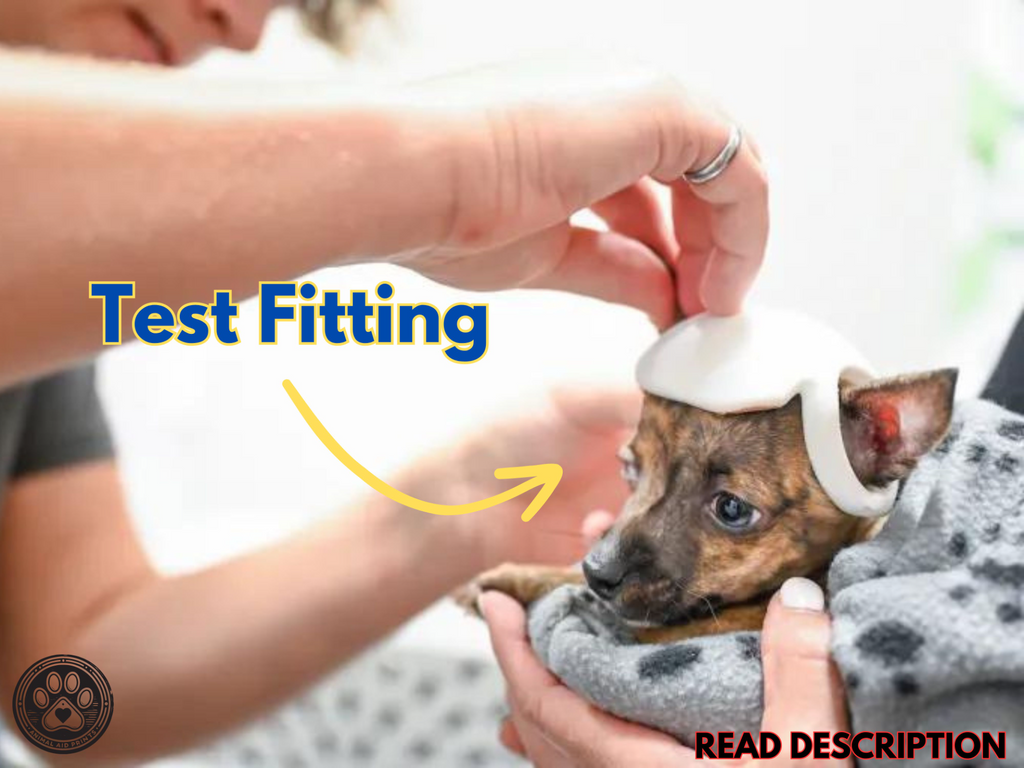 Dog Helmet - Getting Adoption Family a 3D Printer