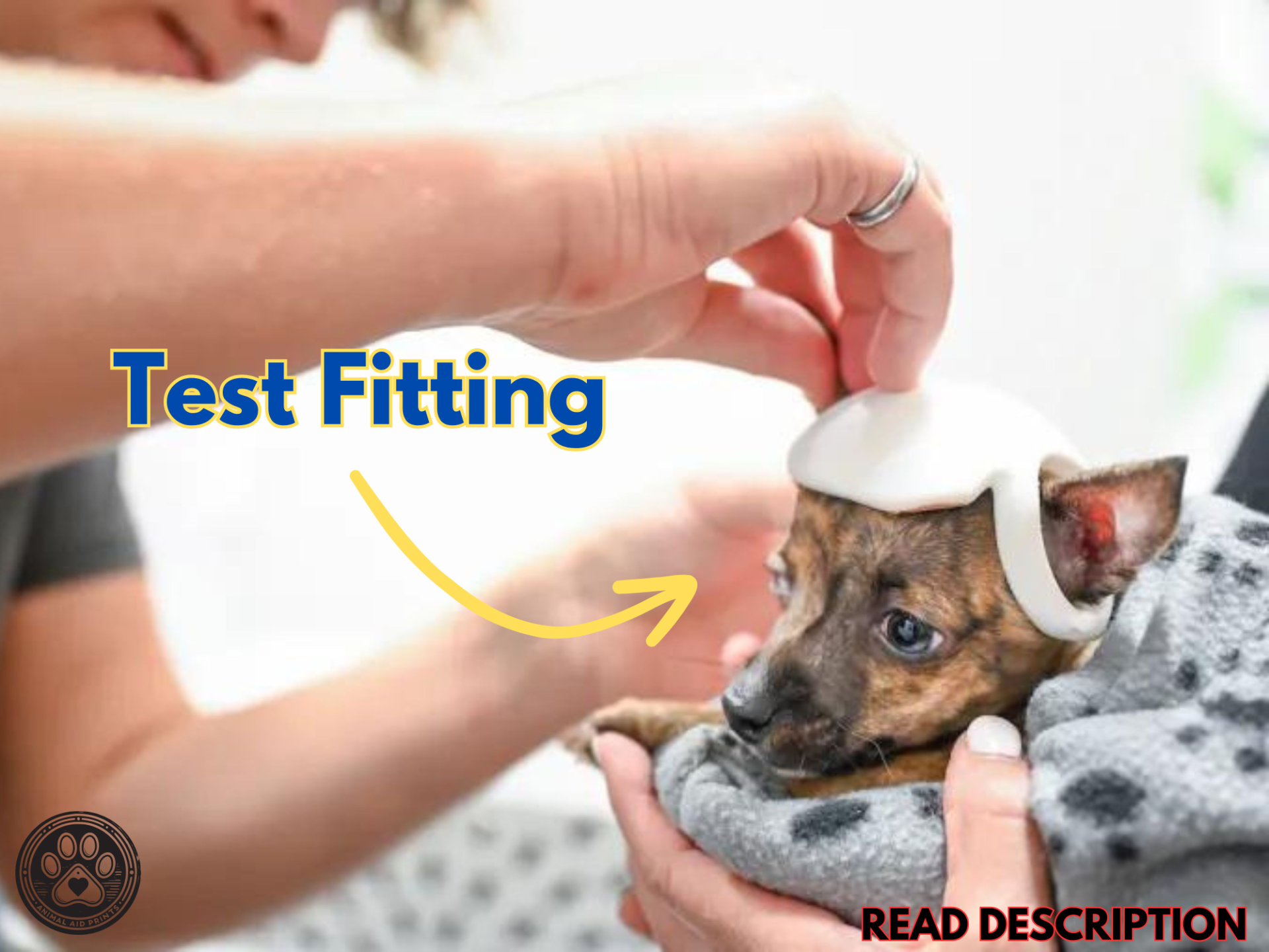 Dog Helmet - Getting Adoption Family a 3D Printer