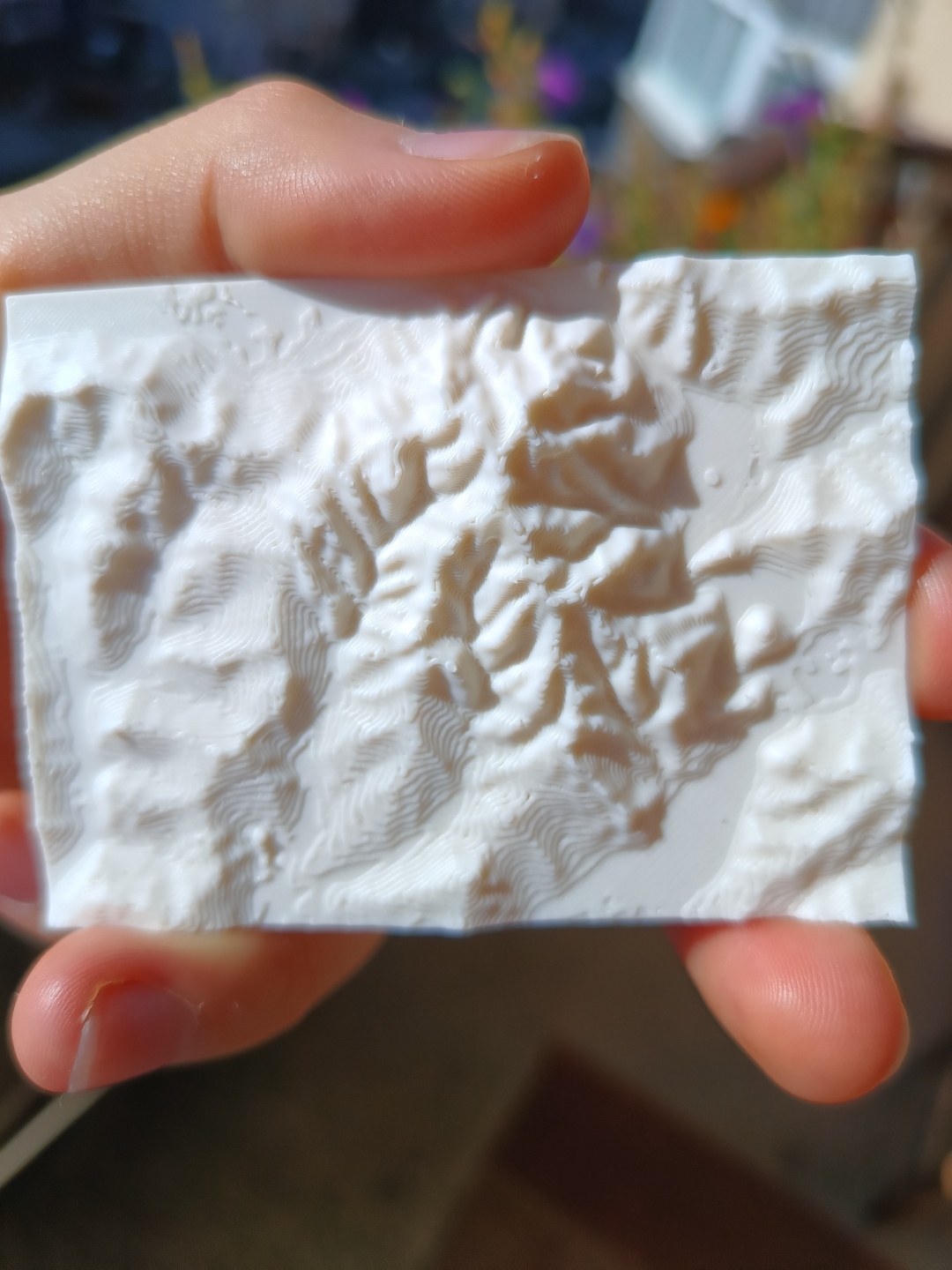 Terrain Map - Magura