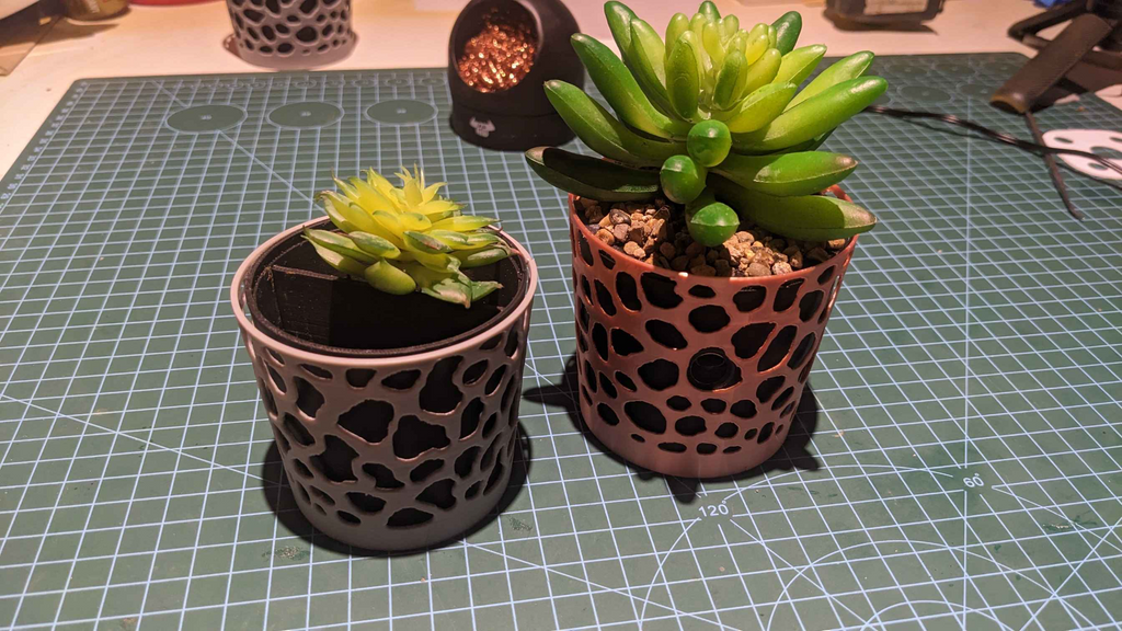 Planter spy cam
