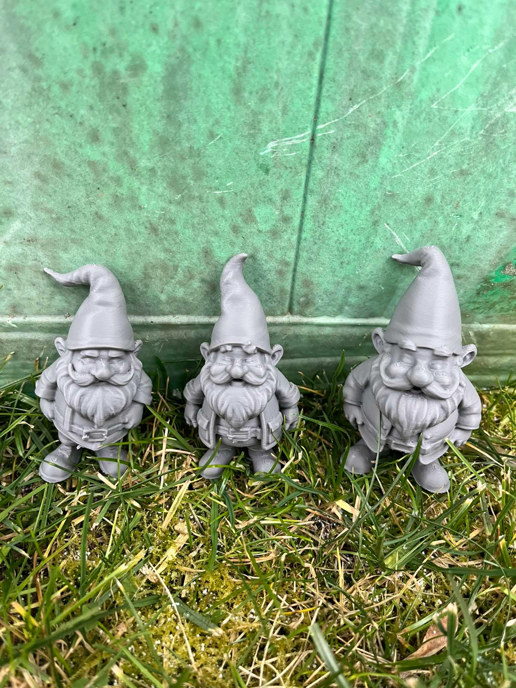 Garden Gnome, Dwarf
