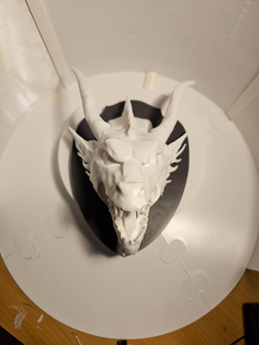 Wall Mounted Dragon Head