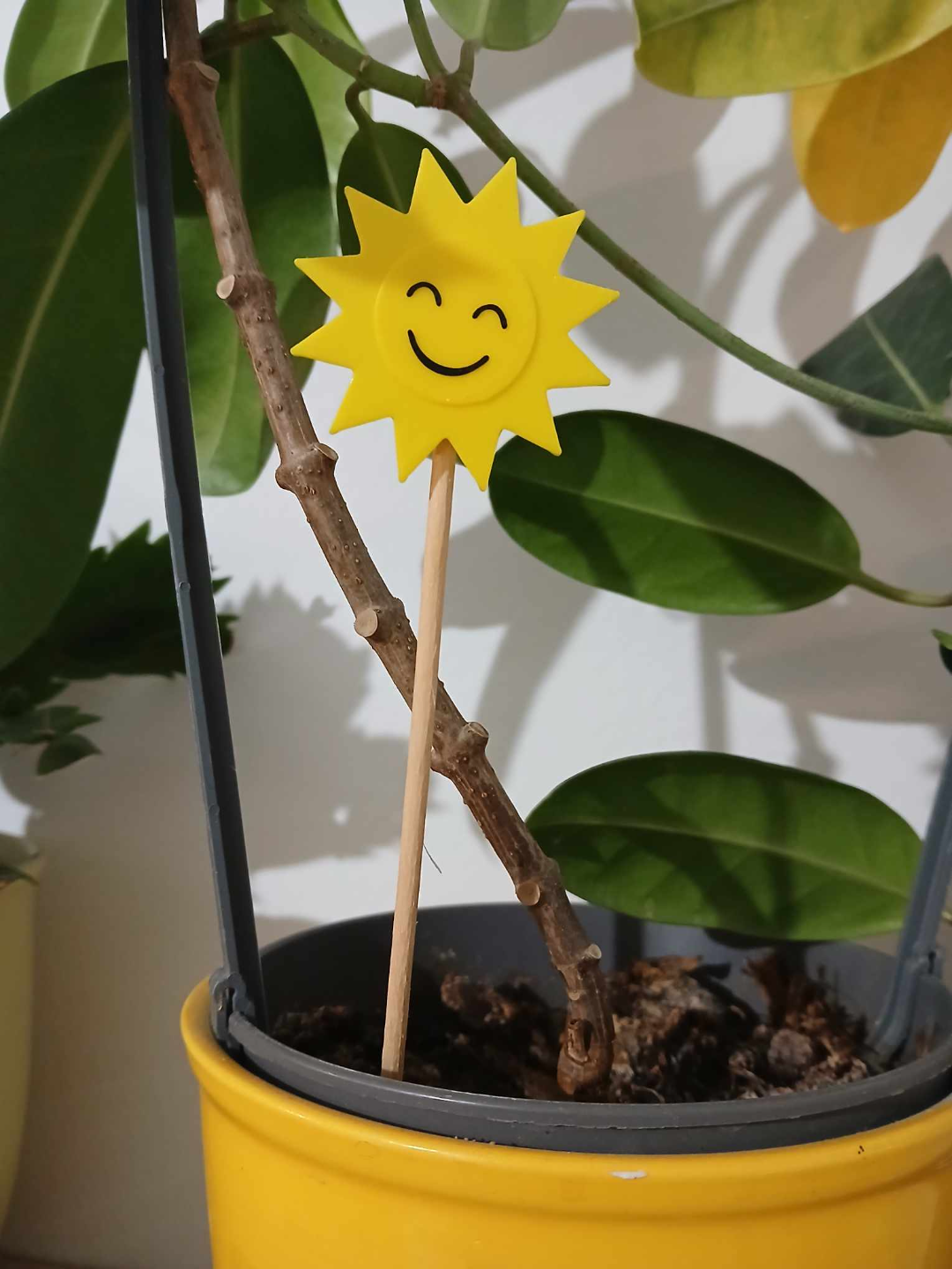 Smiling Sun decoration