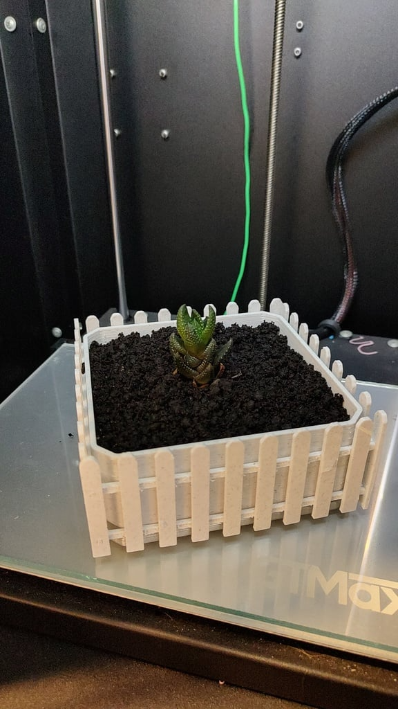 Vaso pianta