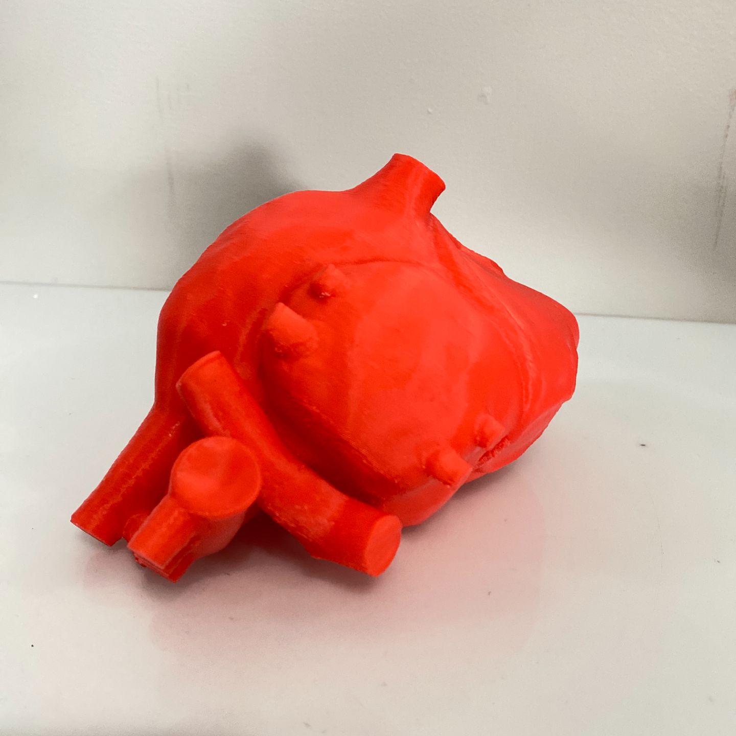 Anatomically Accurate Heart - Solid Model